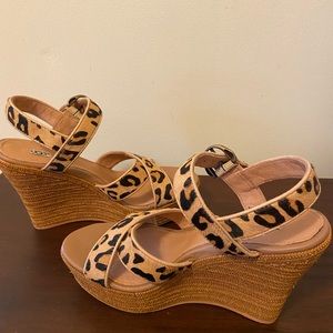 Leopard Print Ugg Platform Sandals